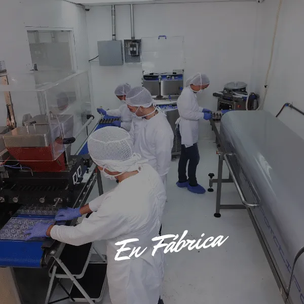 Sonia en la fábrica