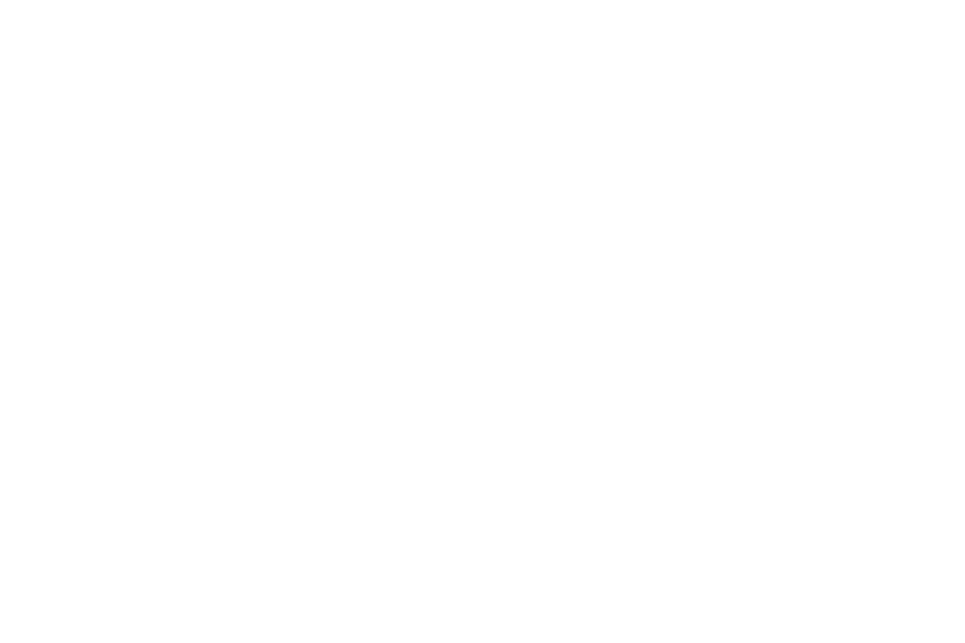 Garantía 15 días