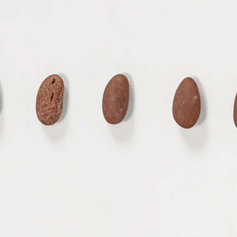 Gragea de Almendra, cacao y especias