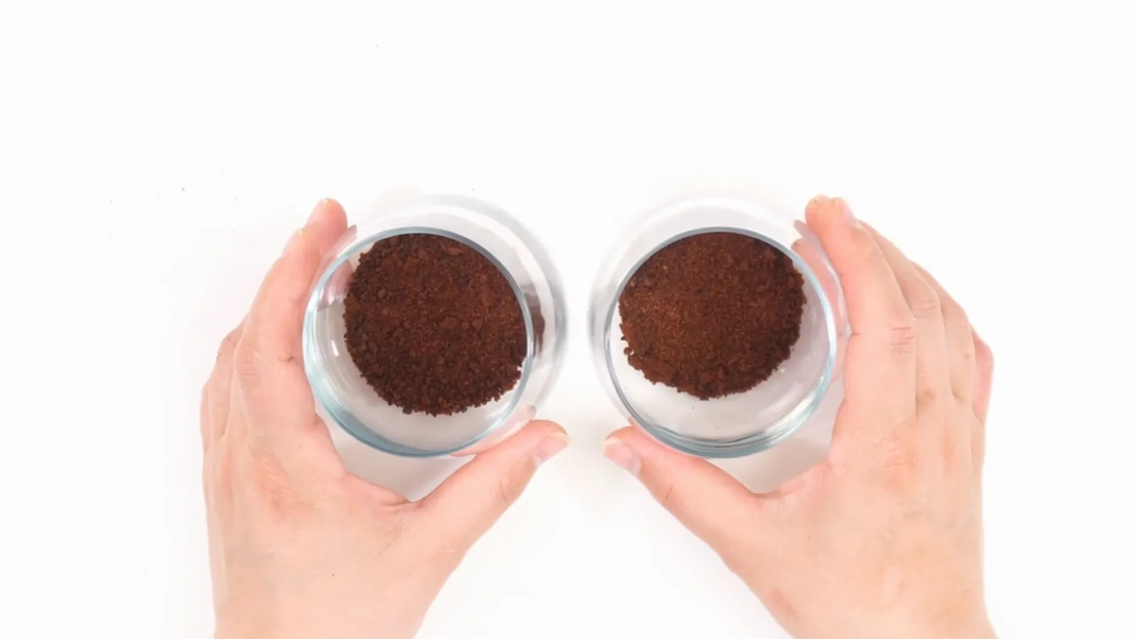 Dos copas con cacao molido, una por muestra, listas para evaluar